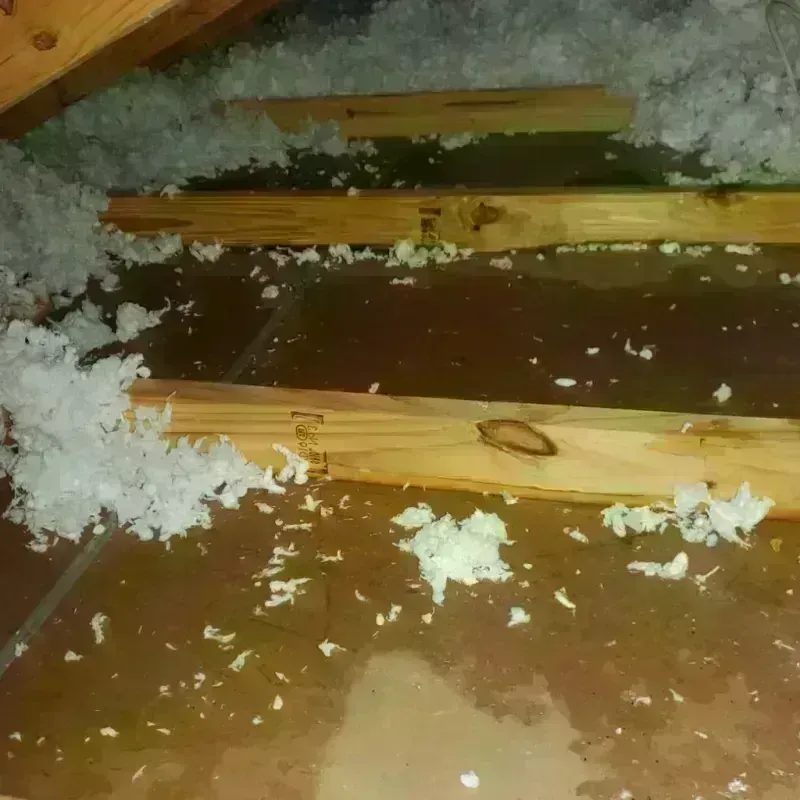 Attic Water Damage in Dent, OH