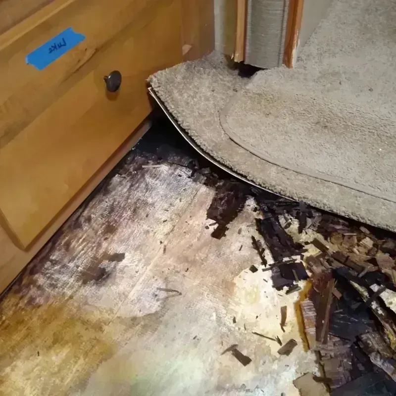 Wood Floor Water Damage in Dent, OH